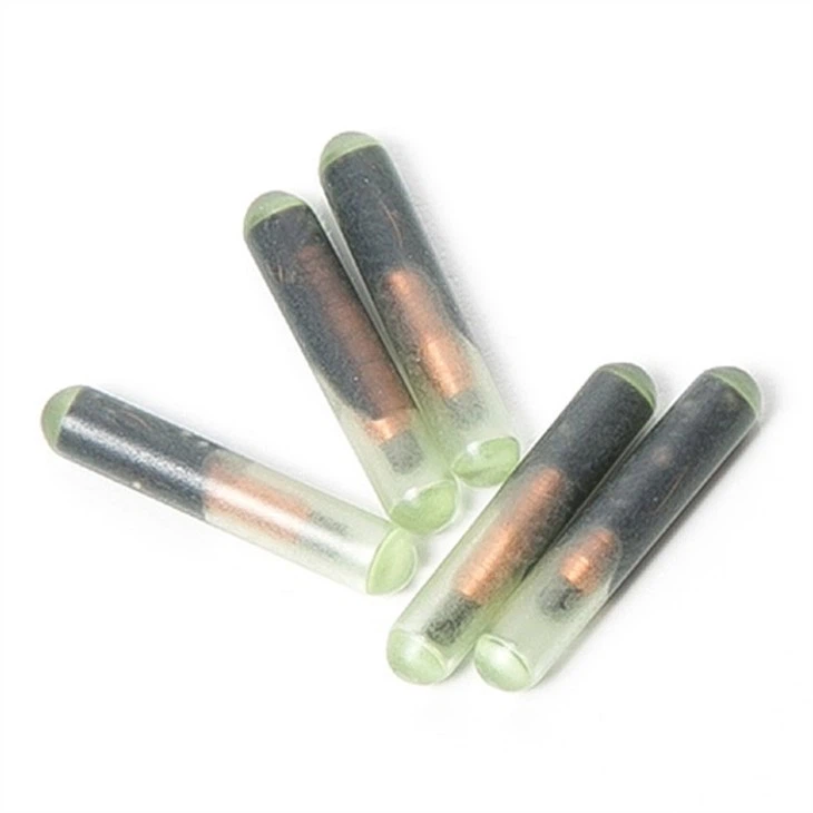 RFID micro chip4(001)